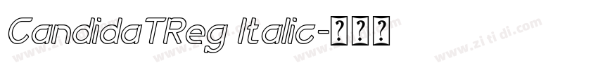 CandidaTReg Italic字体转换